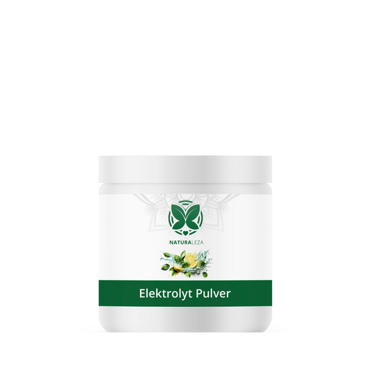 Elektrolytpulver mit Zitronen-Limetten-Geschmack 350g